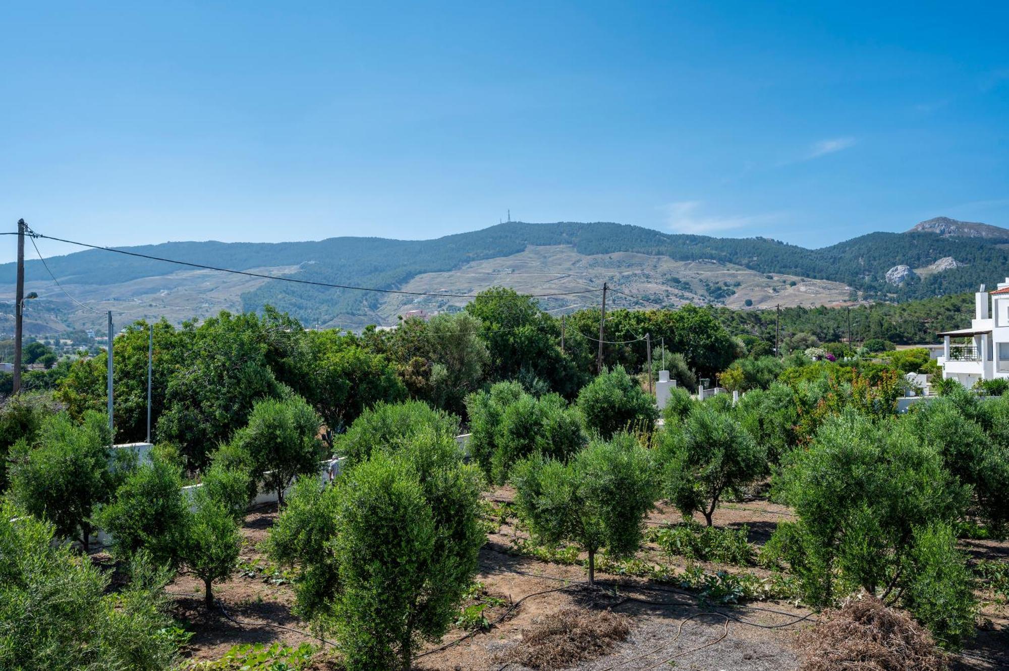 Olive Green Haven-3Br-Private Parking-Balcony Kos-stad Buitenkant foto